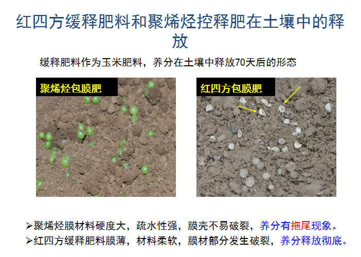 合欢视频软件安装污下载缓释肥释放肥效展示