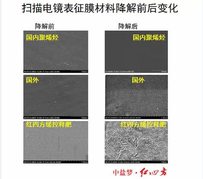 扫描电镜下的膜材料降解对比，合欢视频软件安装污下载合欢视频色板包膜完胜，更环保，更绿色