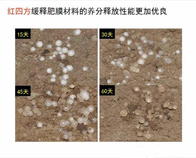 合欢视频软件安装污下载缓释肥膜材料养分释放性更优良